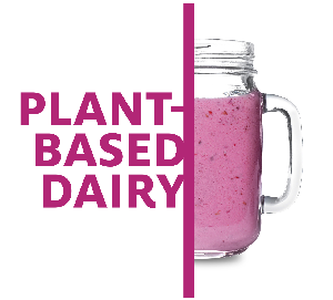 plant based dairy applications