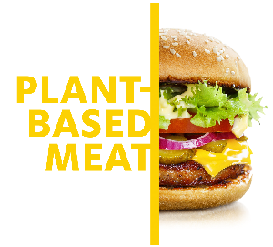 plant based meat applications